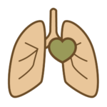 Ikon med två lungor med ett hjärta framför