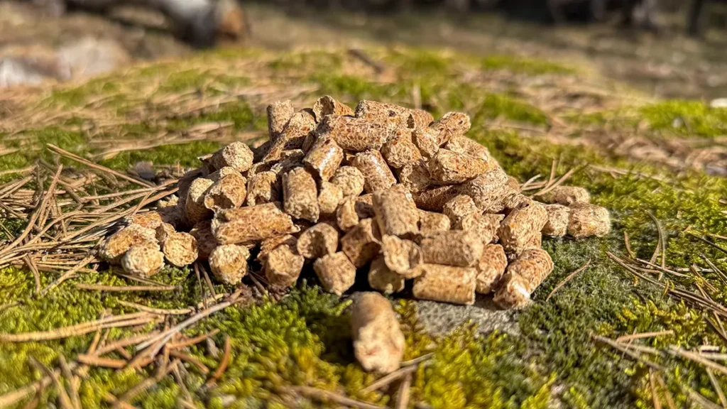 Pellets som ligger på mossbeklädd sten