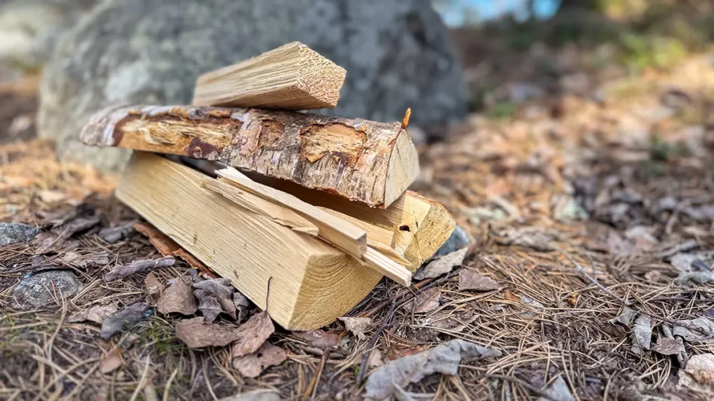 Fyra stora och fem små bitar ved som ligger upphuggna på marken